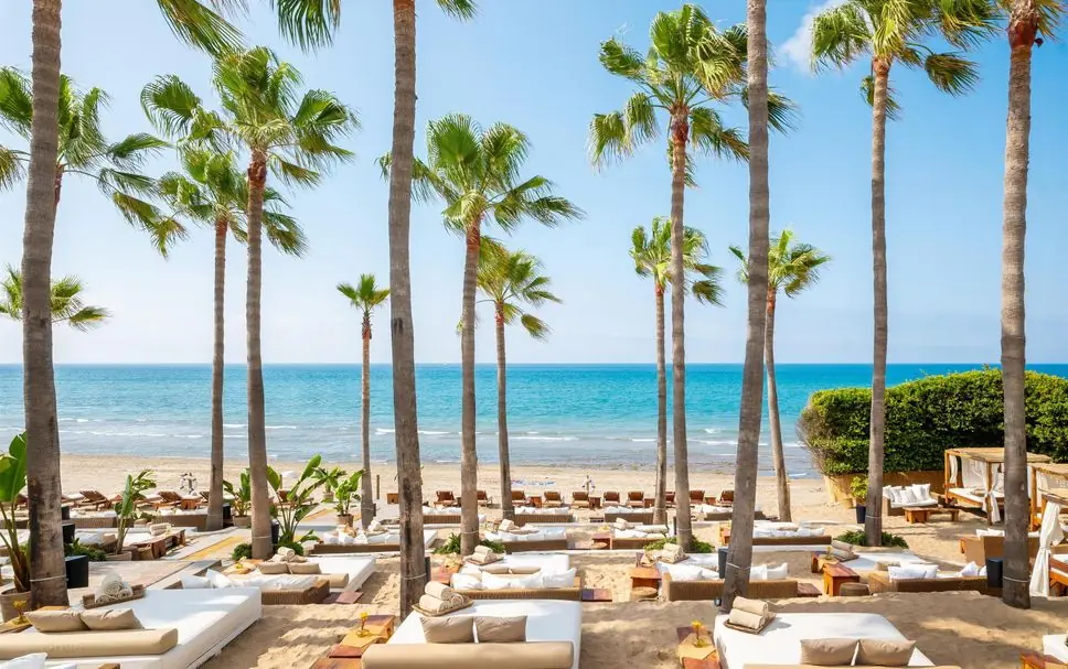 Beach club daybeds under palm trees facing the sea in Marbella